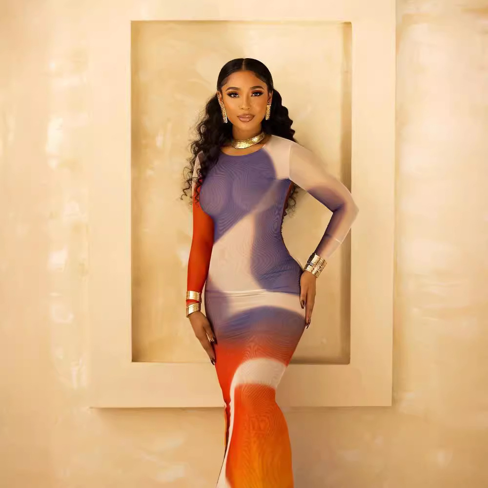 Zen Print Mesh Long Sleeve Maxi Dress