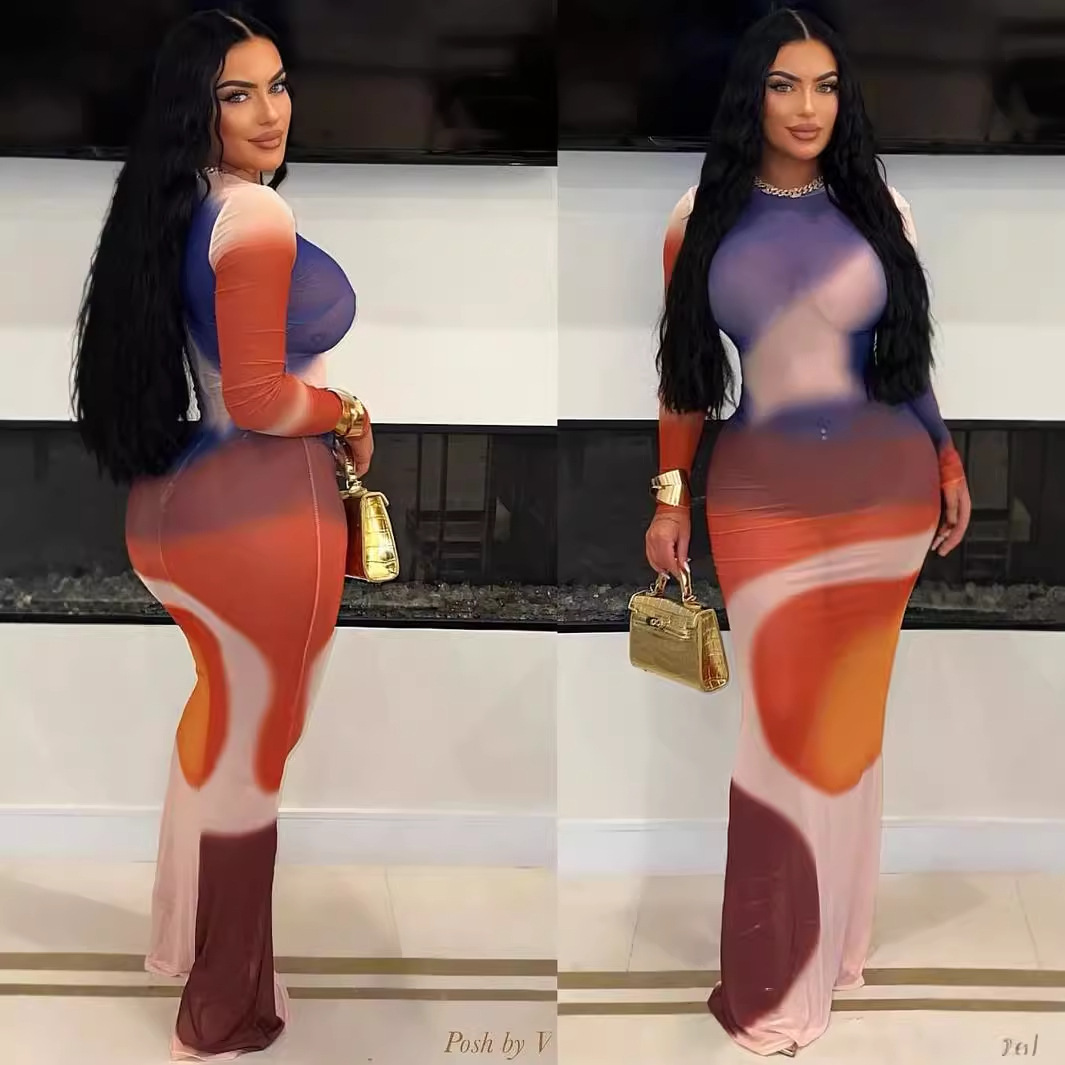 Zen Print Mesh Long Sleeve Maxi Dress