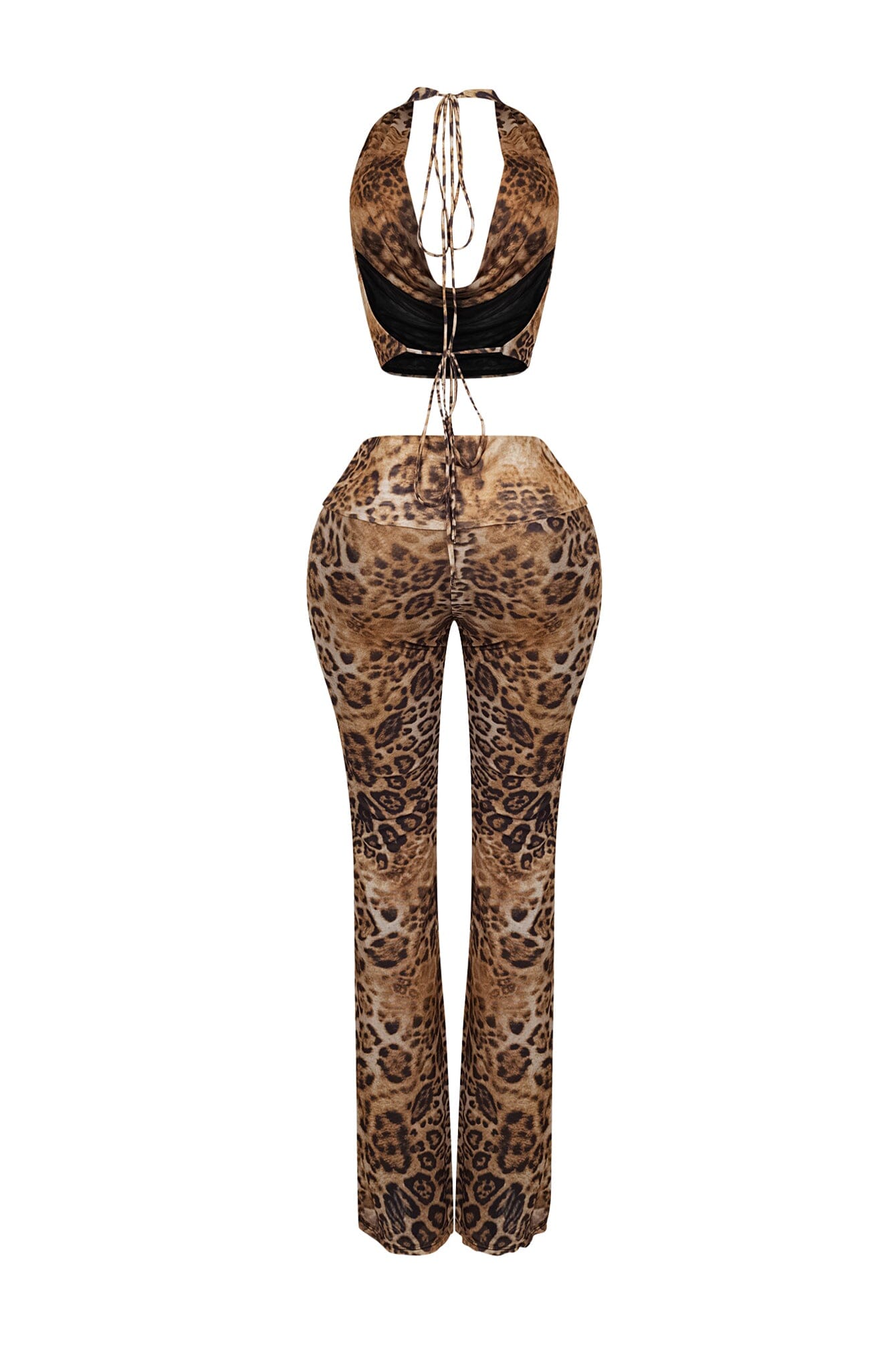 Katherine Mesh Leopard Top & Pants SET